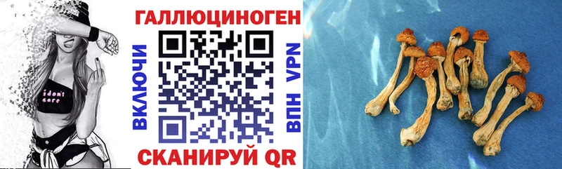 дарнет шоп  Ершов  МЕГА маркетплейс  Галлюциногенные грибы MAGIC MUSHROOMS 